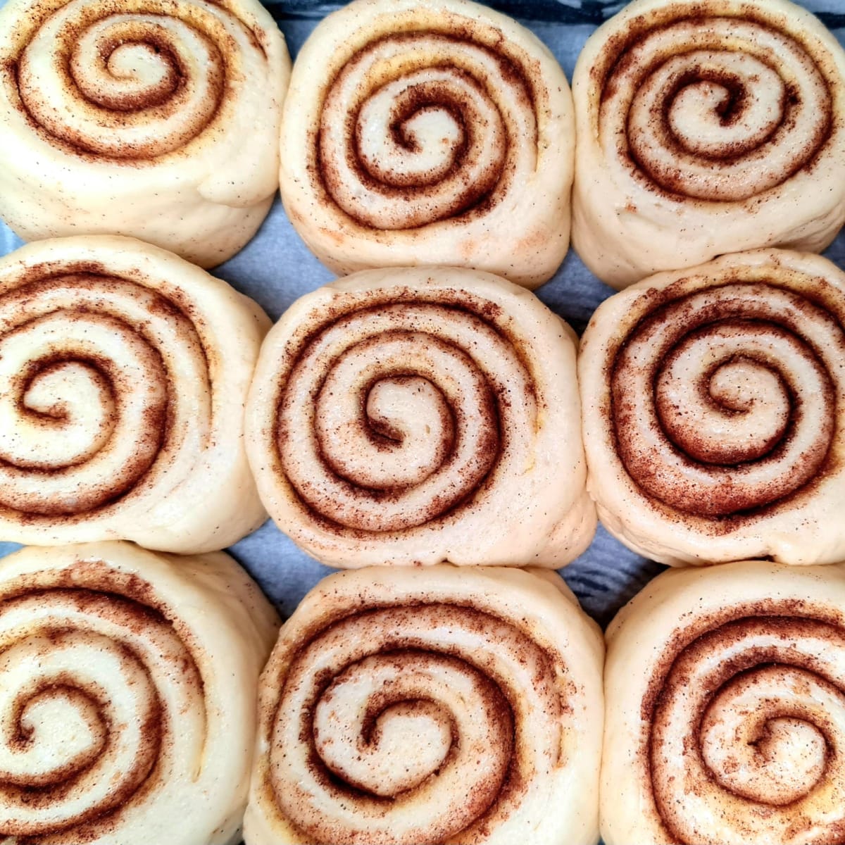 The Best Cinnamon Rolls (Easy and Fluffy Cinnamon Scrolls)