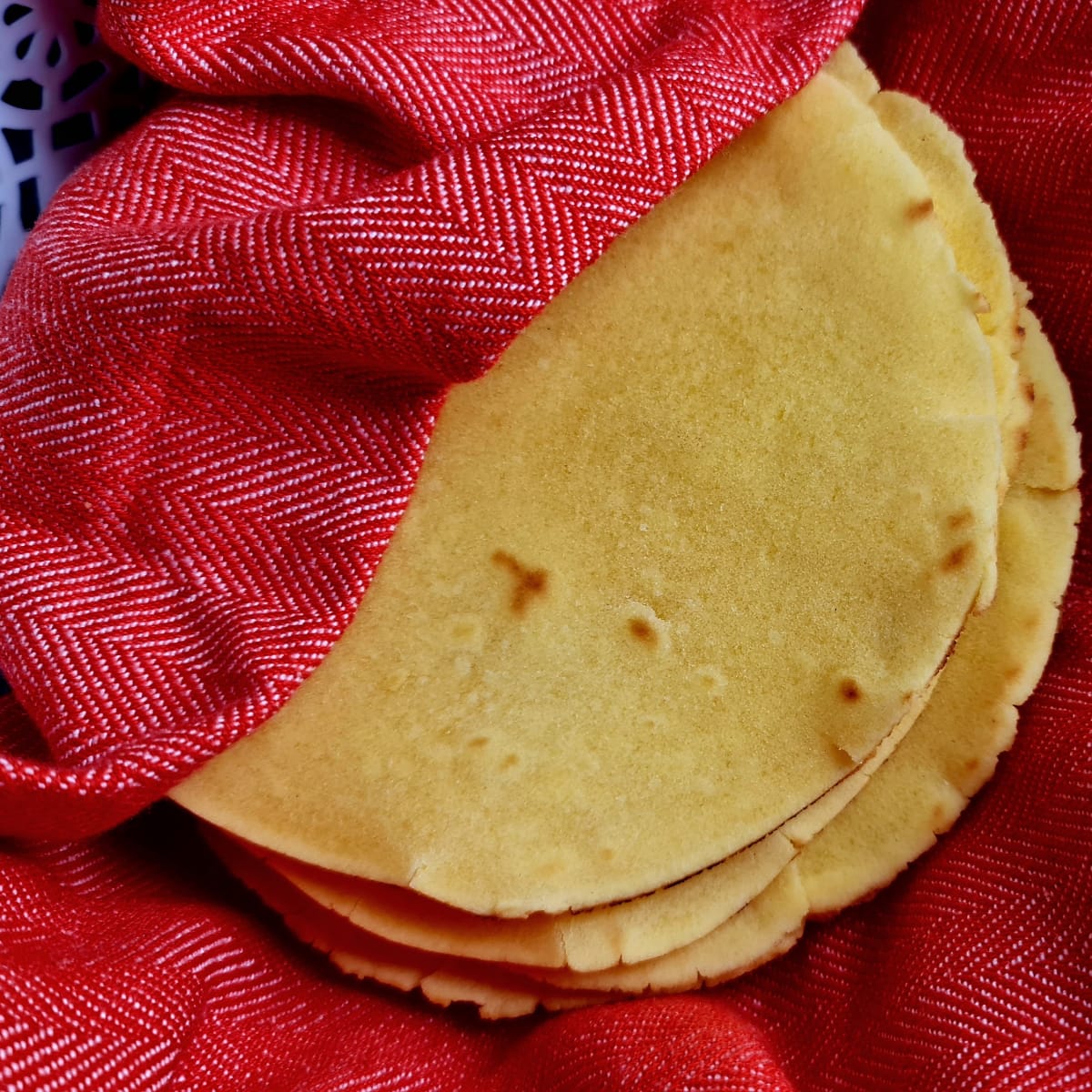 Homemade Corn Tortillas (Quick & Easy Glutenfree Tortillas)